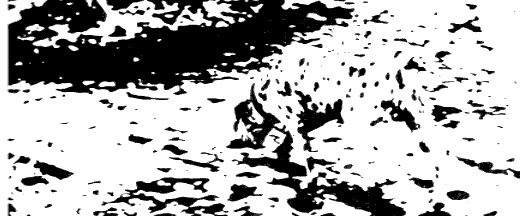 Decision making theory: Dual process theory (del 2)