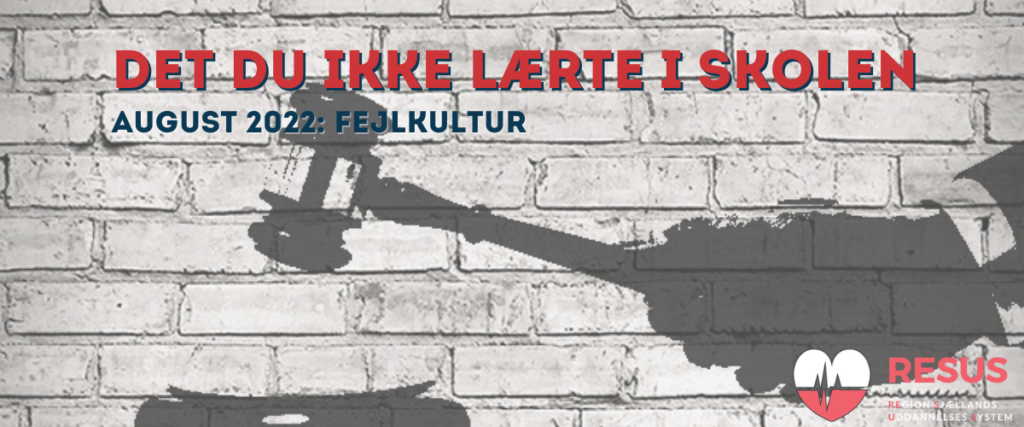 Det du ikke lærte i skolen – August 2022 – Fejlkultur