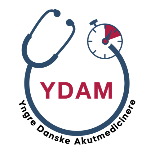 YDAM Logo Nyt